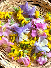 Load image into Gallery viewer, Flower Essences